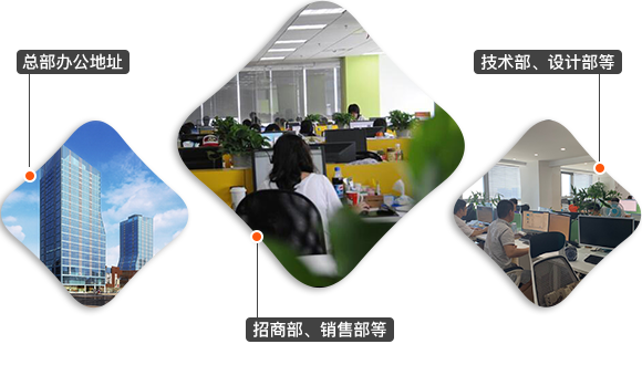 APP开发